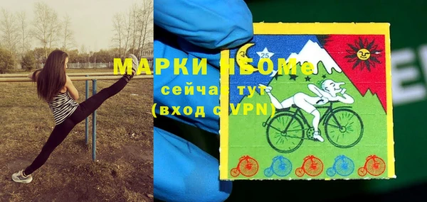 Альфа ПВП Осинники