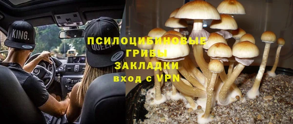 мдпв Нязепетровск