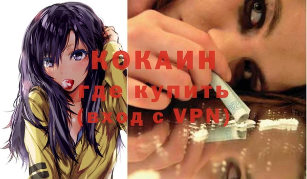 твердый Няндома