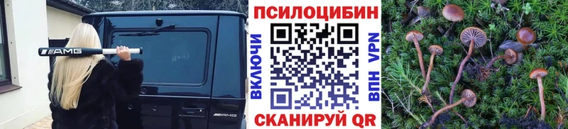 Псилоцибиновые грибы Psilocybine cubensis  Отрадное 