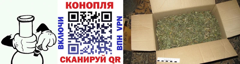 Конопля ГИДРОПОН  Отрадное 